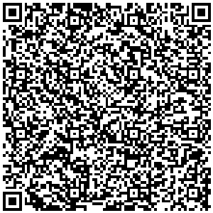 QR Code preview