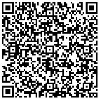 QR Code preview