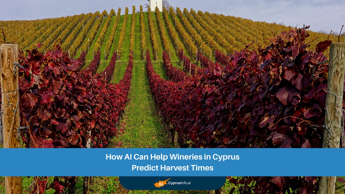 Revolutionizing Harvest: How AI in Cyprus Viticulture Predicts Optimal Grape Ripeness