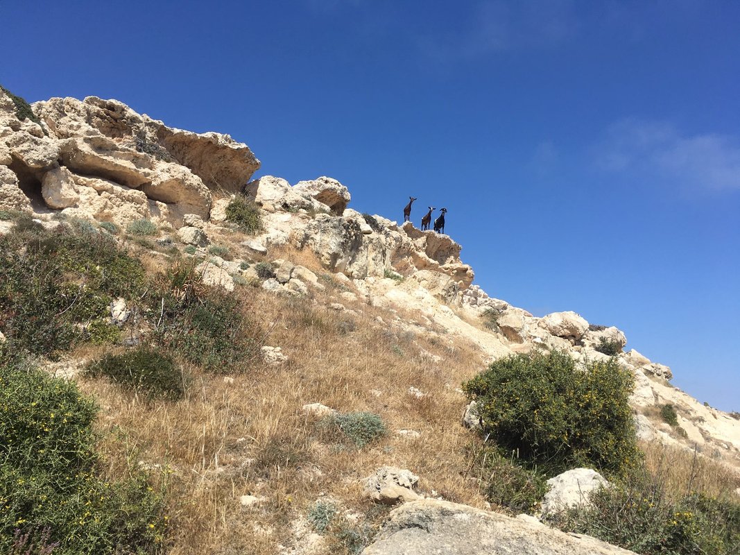Cyprus Exploration Unlimited