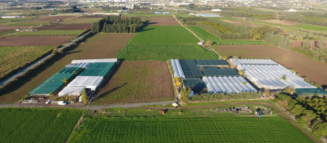 Plantech Nurseries LTD 