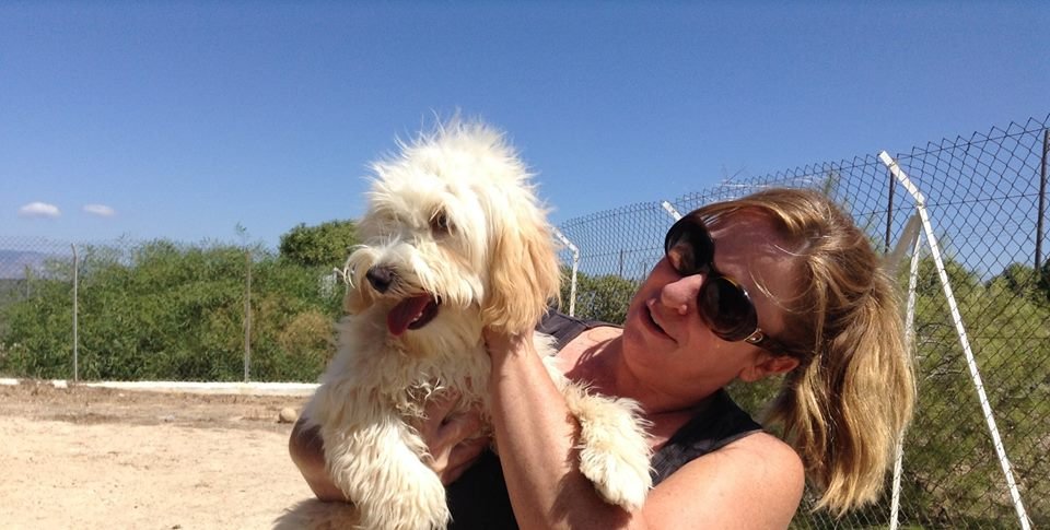 Rosewood Boarding Kennels & Private Dog Park