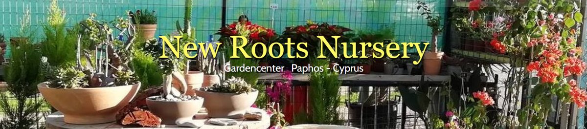 New Roots Nursery