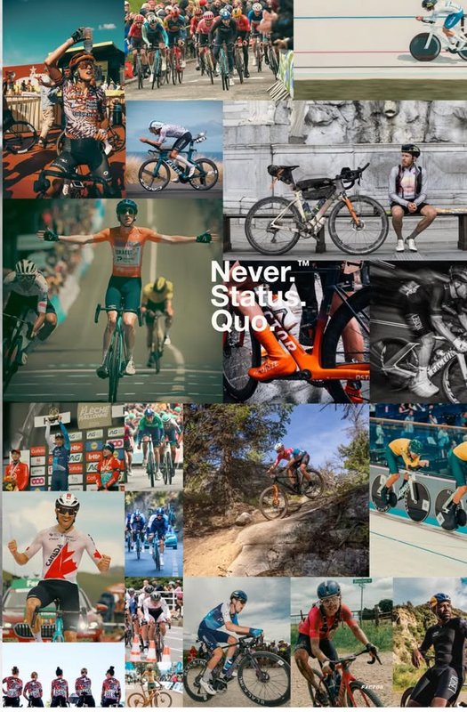 Ride Easy Bikes