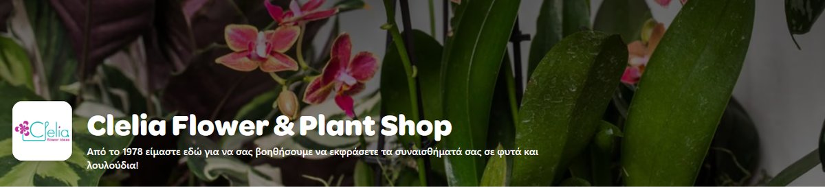 Clelia Flower and Plant Shop  