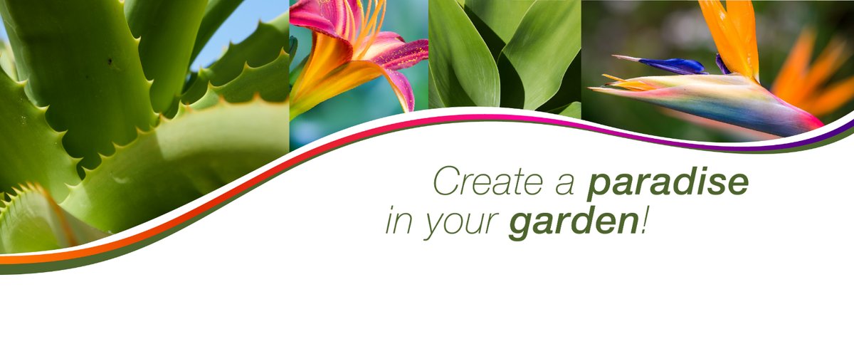 Paradise Garden 