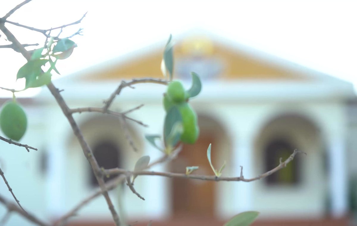 Agia Skepi Therapeutic Community