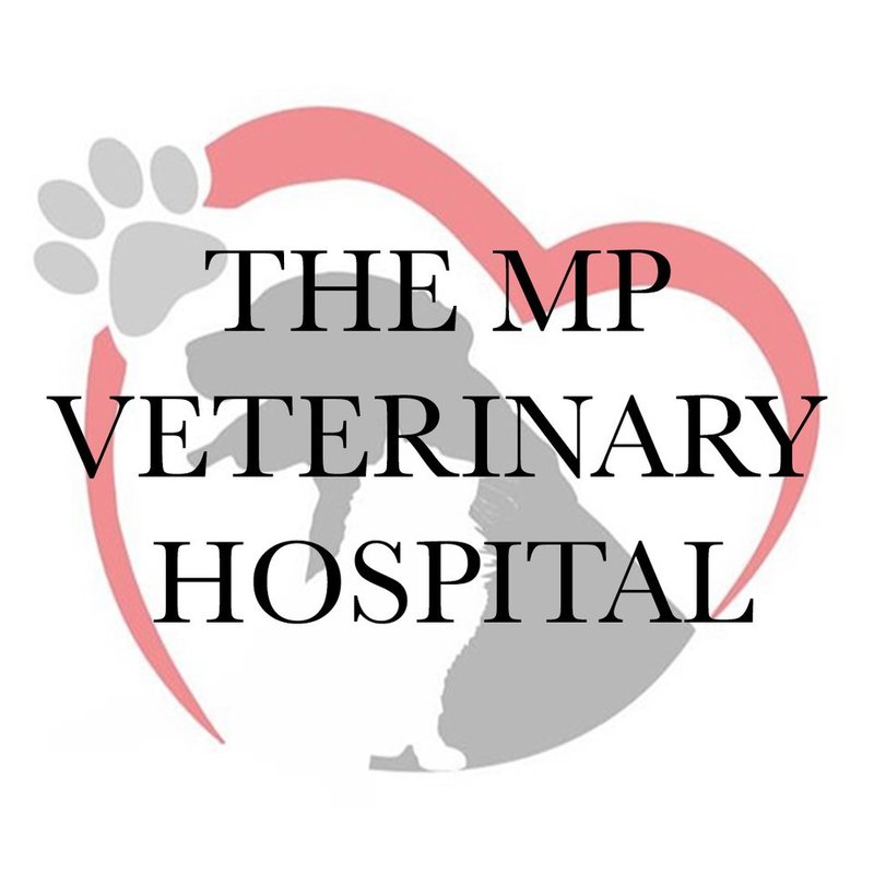 VETERINARY CLINIC PELEKANIS