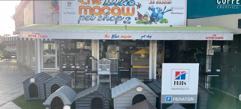 The blue macaw petshop 2 (love birds Sophie’s)