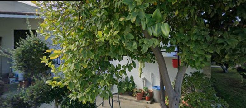 Fresh Vegetables Cyprus  