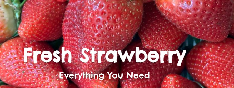 G.papachristodoulou LTD 