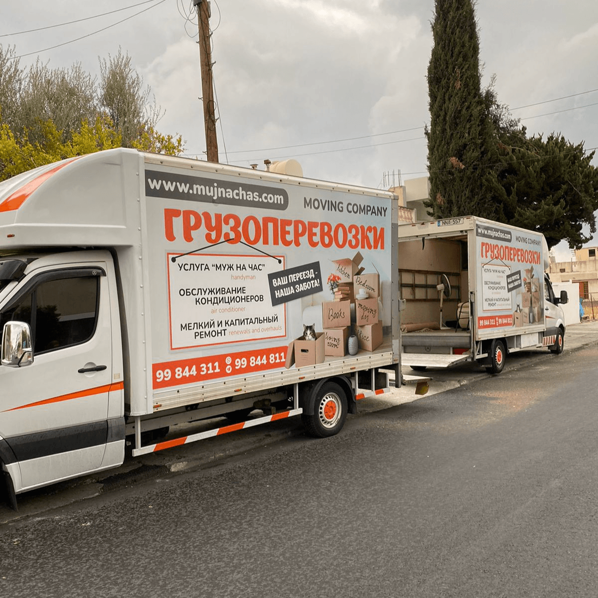 Handyman - Furniture Transportation - Storage Facilities