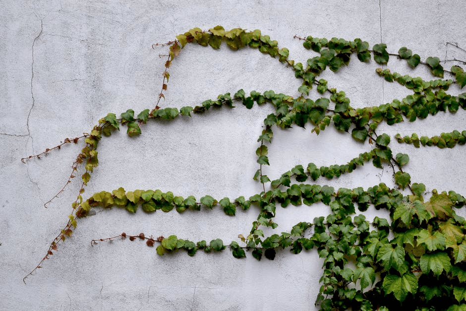 A. Stylianou Garden Center  