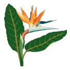 Business logo