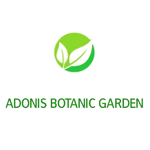 Business logo