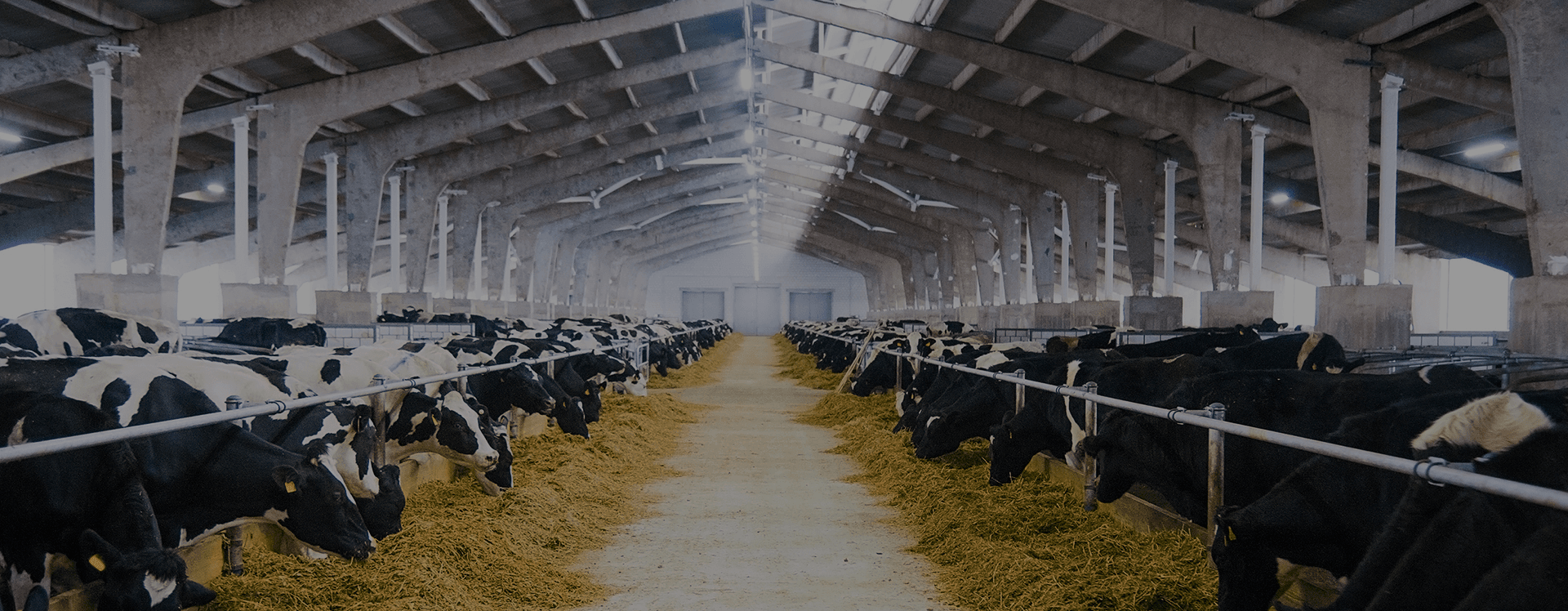 Agromedica LTD 