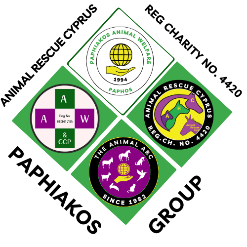 Business logo