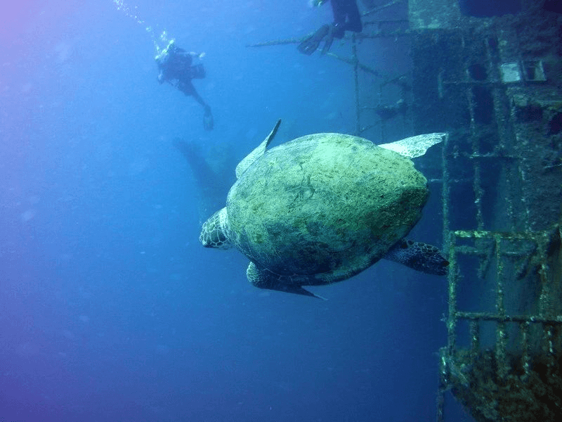 Aquadream SCUBA Diving Academy