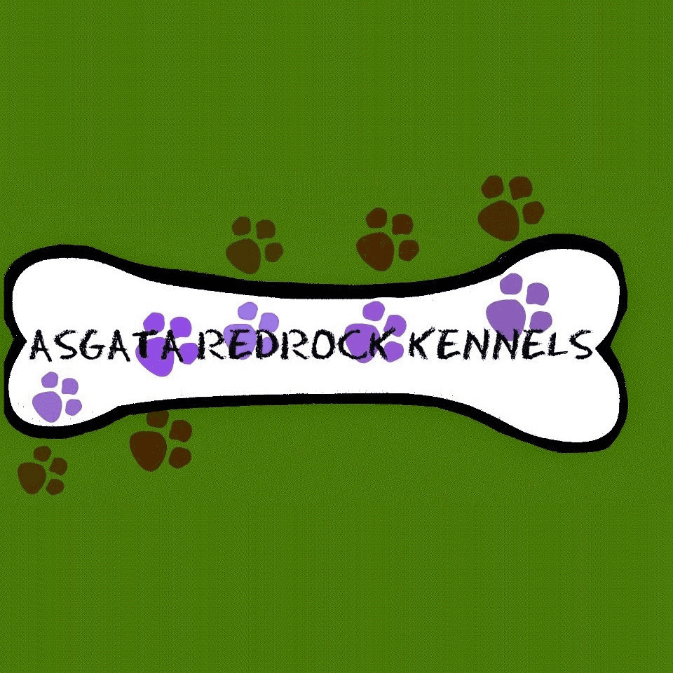 ASGATA REDROCK KENNELS AND CATTERY