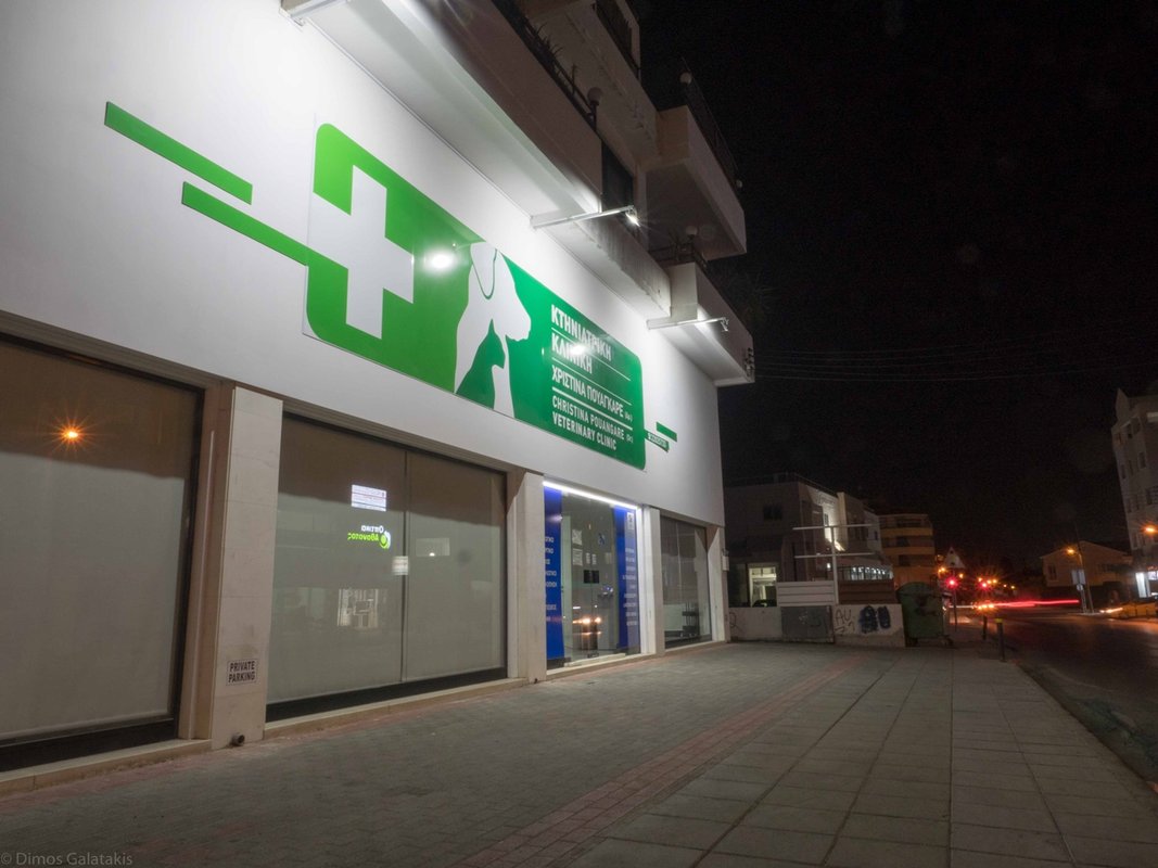 Vet Clinic Christina Pouangare 