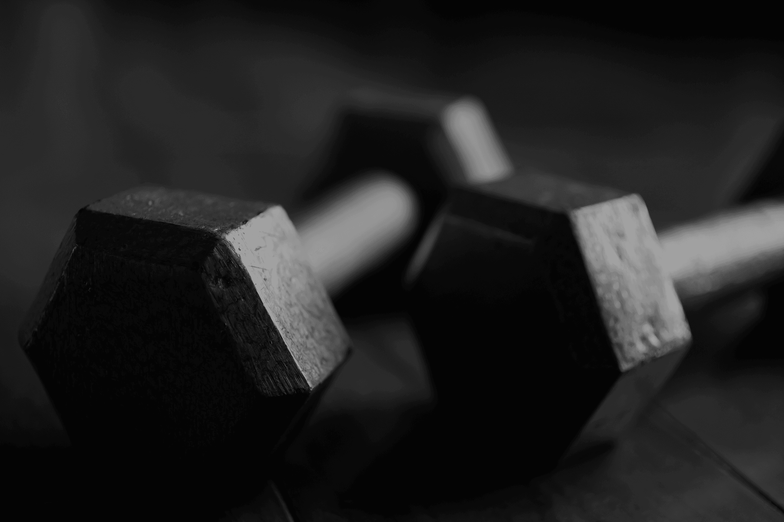 Barbarian Fitness Center