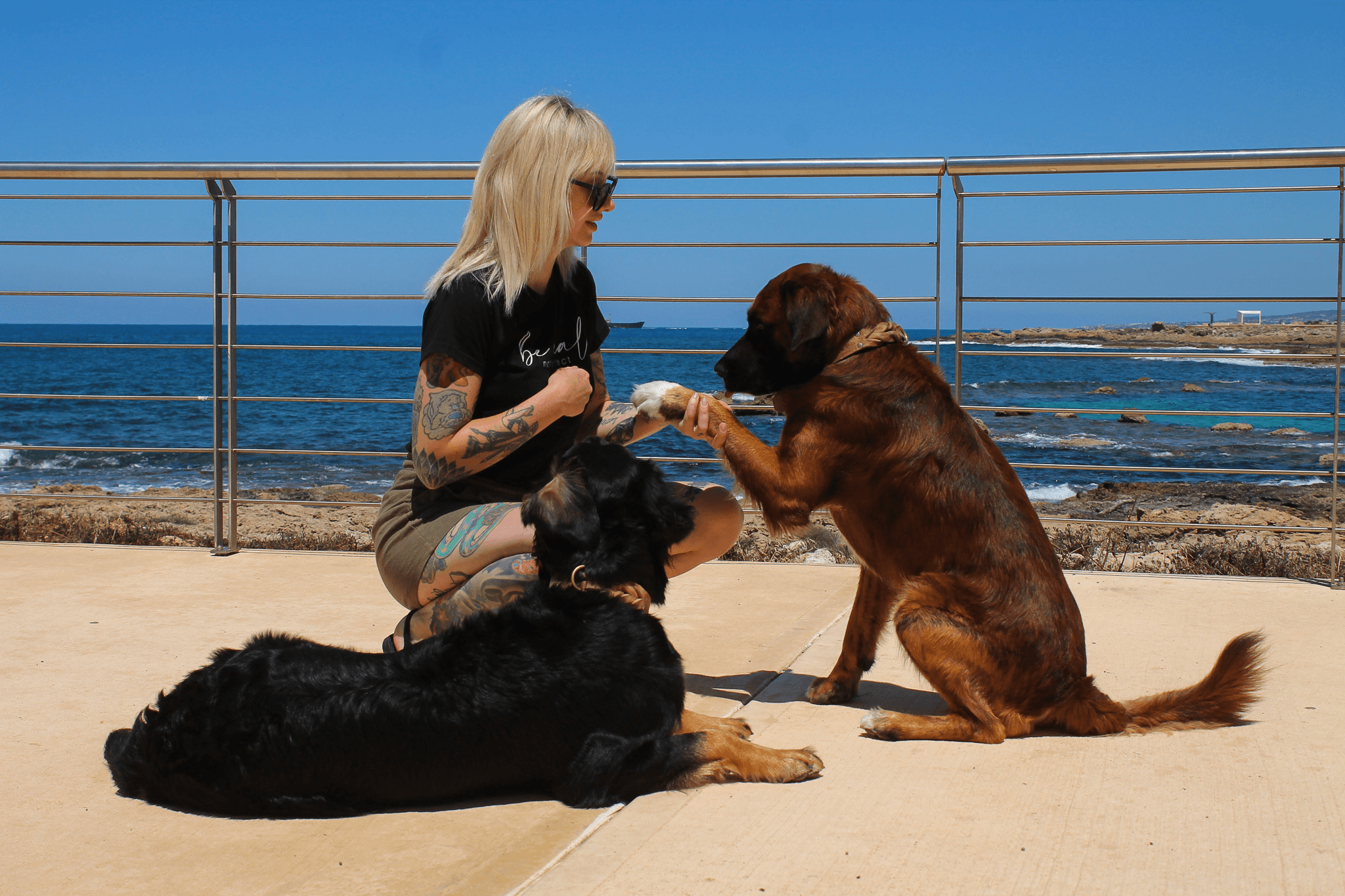 Bruno & Jokers Dogcenter