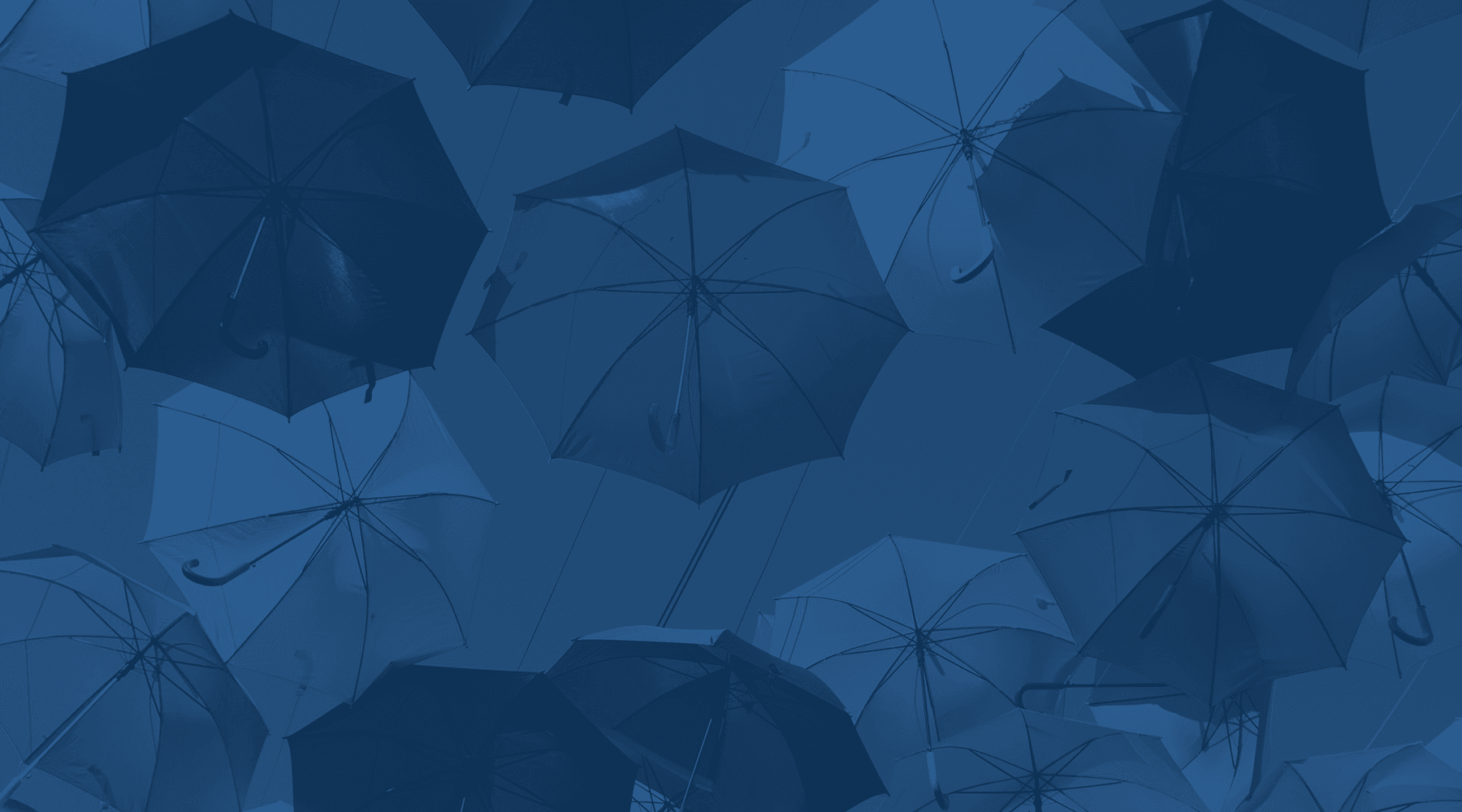 Chelco Management Services Ltd