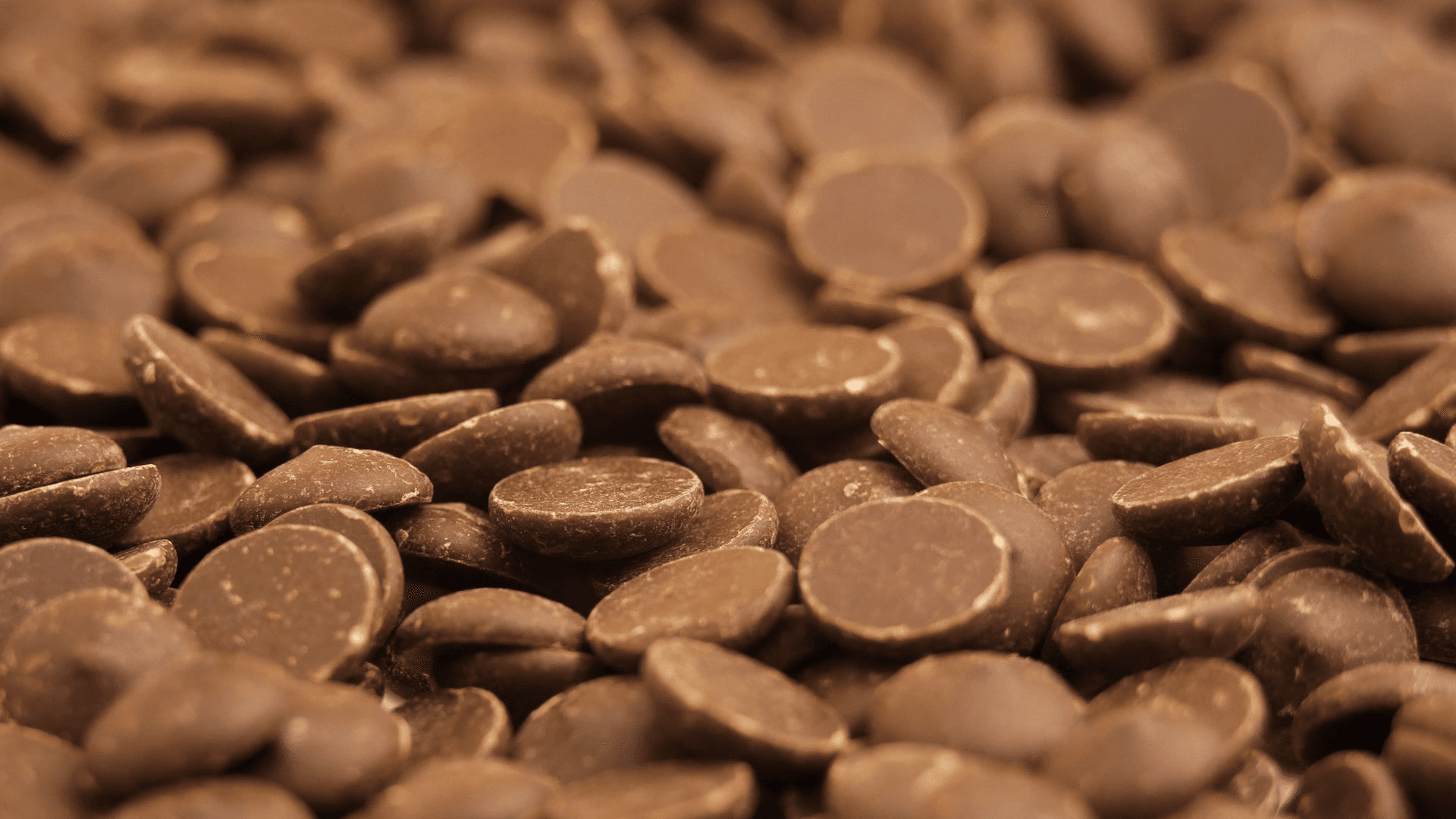 Chocoland Fine Pastry 