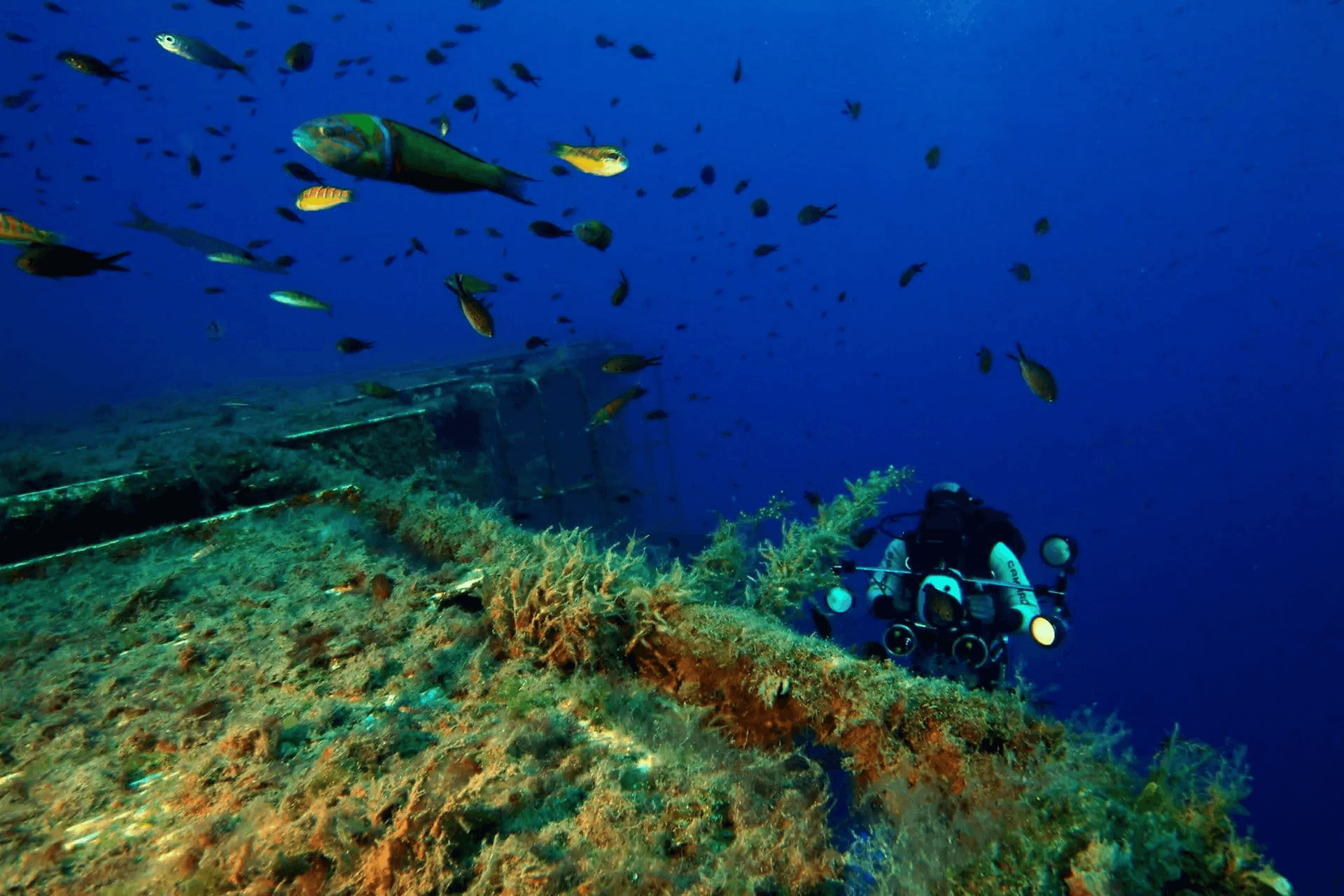 Coral Bay Divers 