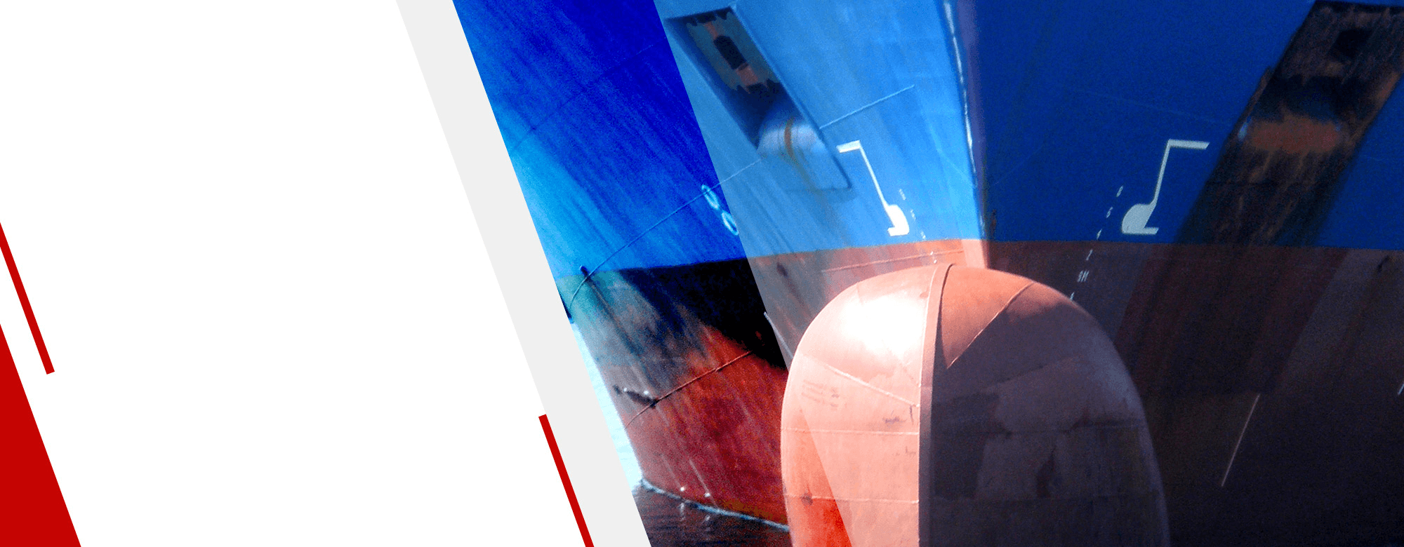 Cosmoship Forwarding & Logistics Ltd