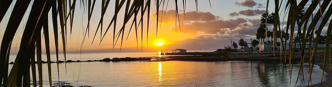 Herbie's Diving Paradise