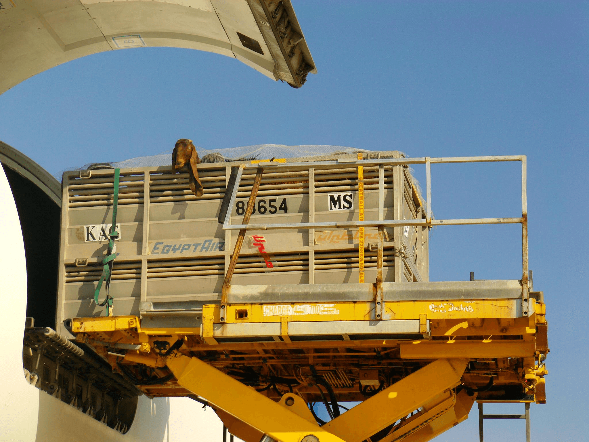 Five Continents Logistics Co Ltd