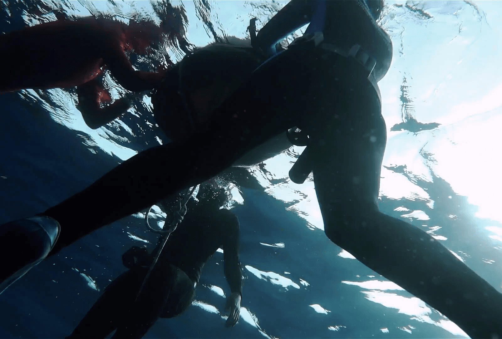 Freedive Freediving Center Savvas