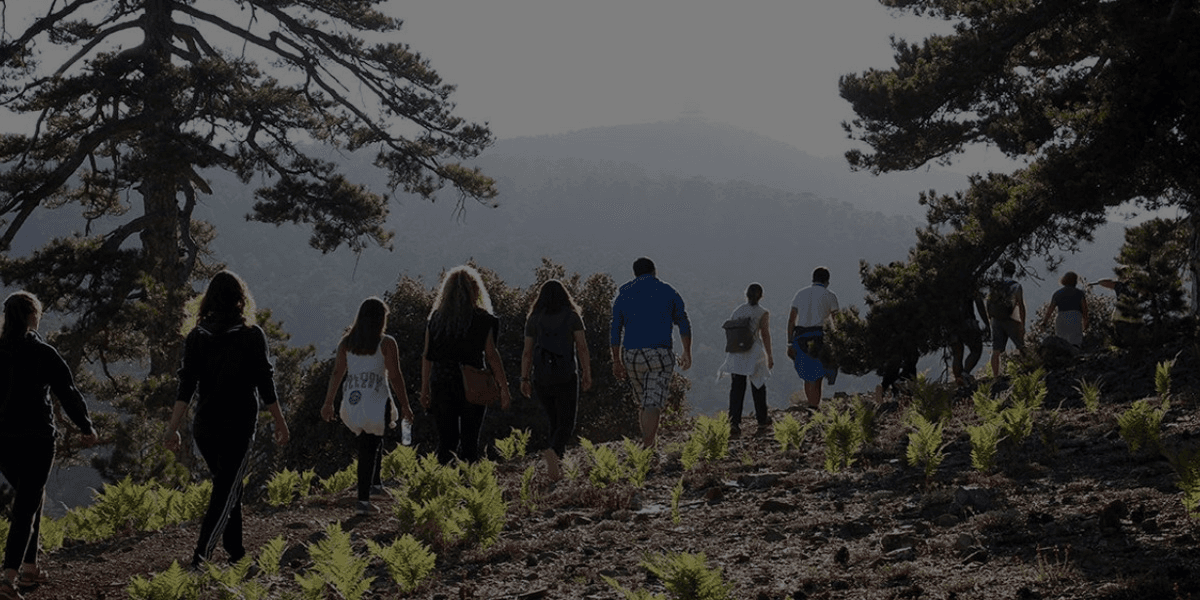 Friends Of The Earth