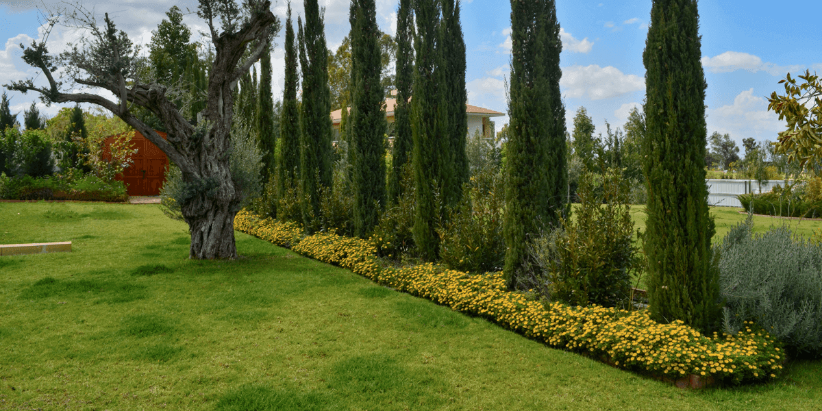 Gardens | Garden Center | Florist (Nicosia) 