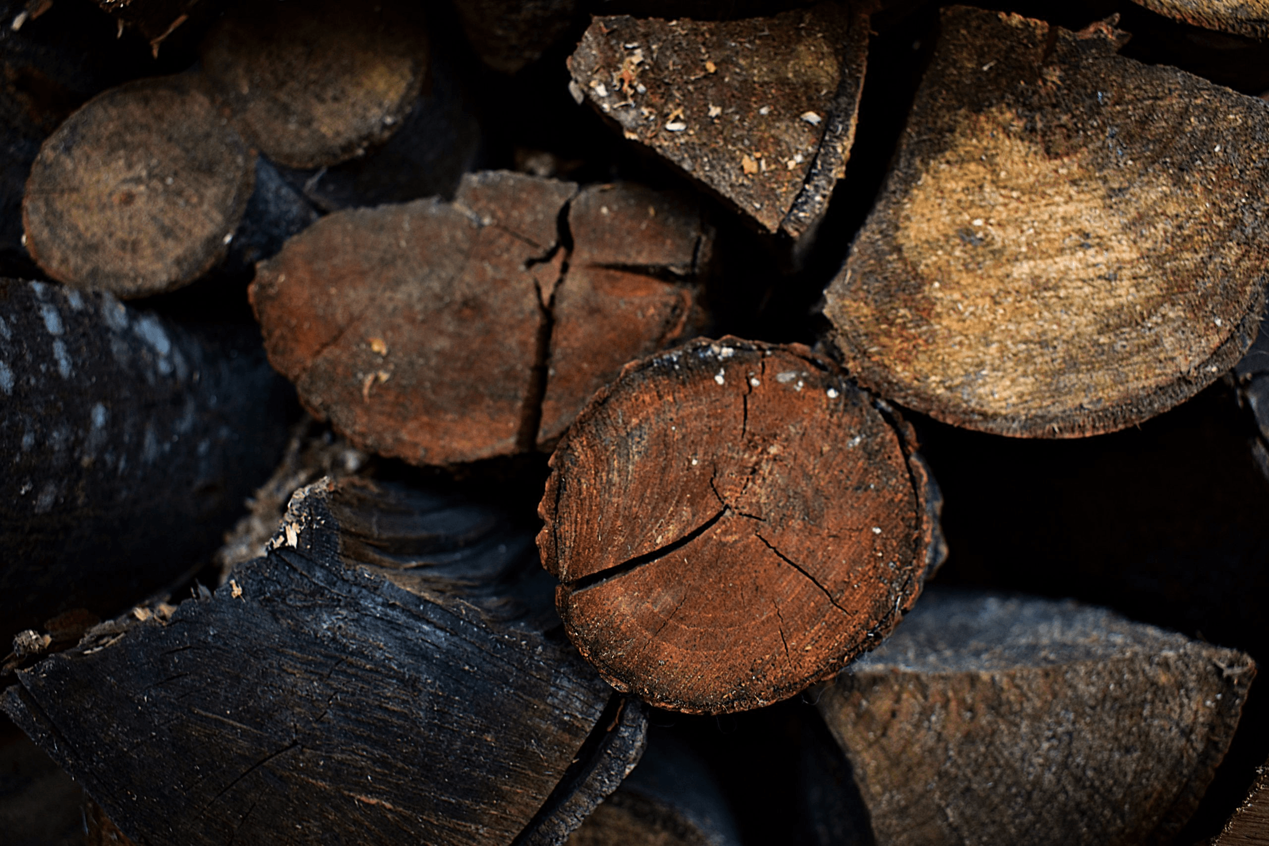 LEFTERIS ELEFTHERIOU & SON LTD WOODWORKING LTD LARNAKA 