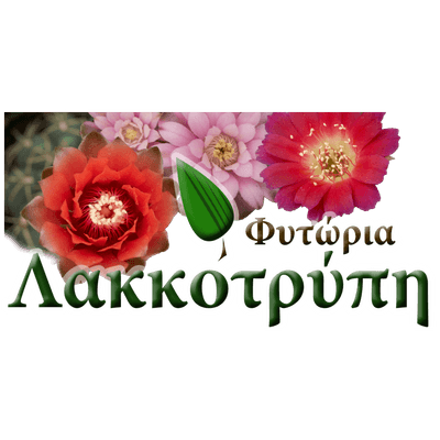 Business logo