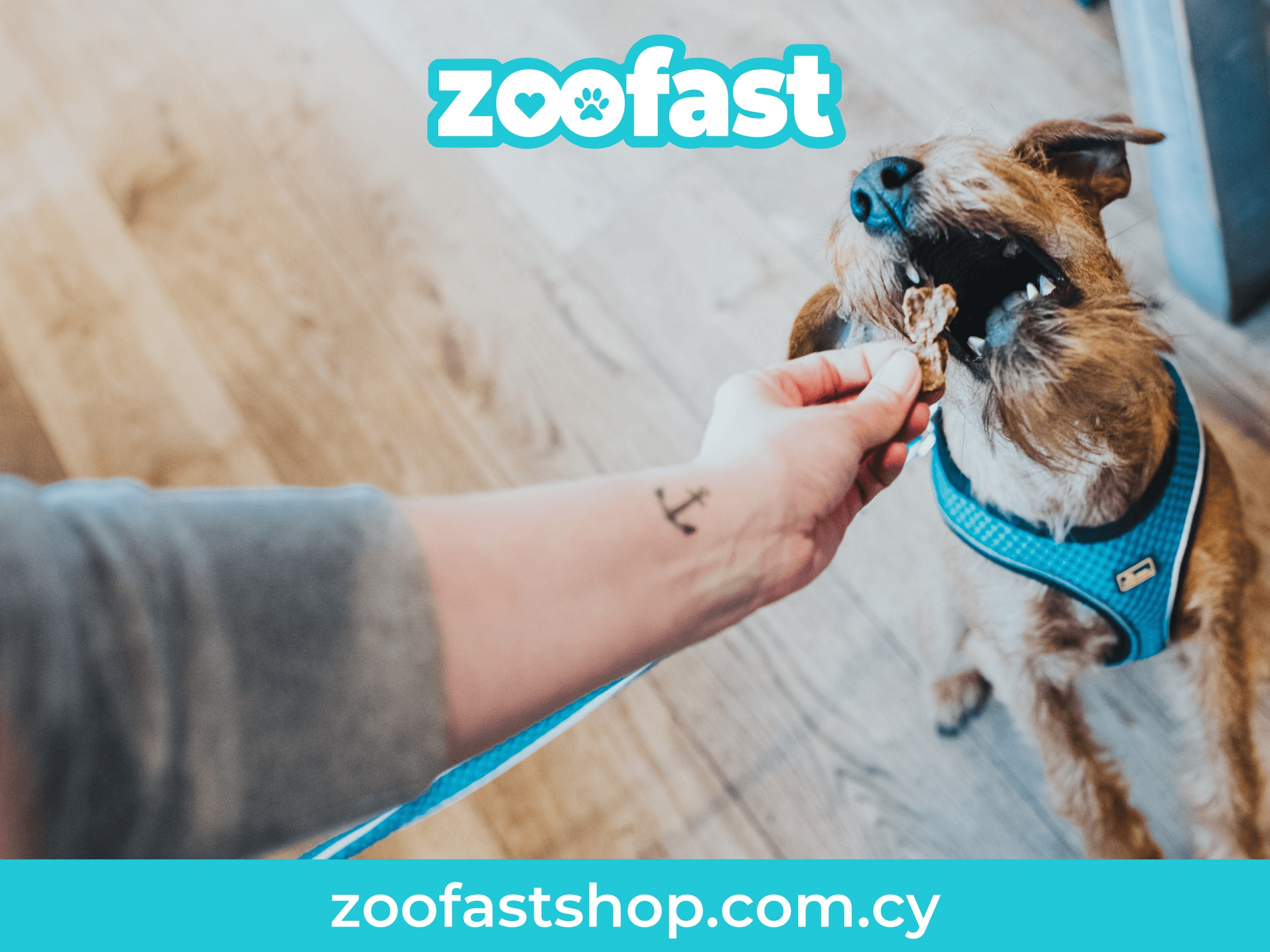 Mount Olympus Kennel