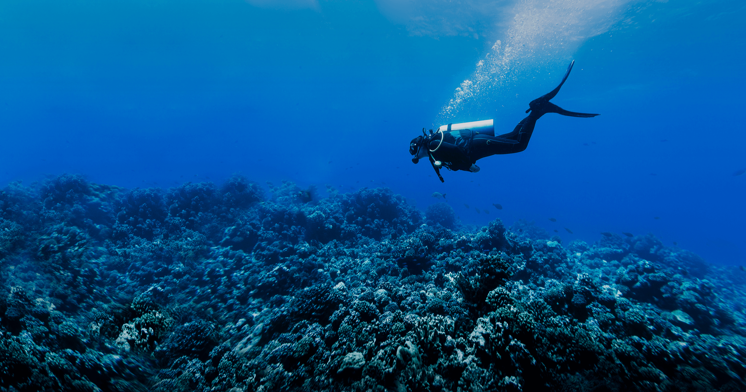 Ocean View Diving,Cyprus  