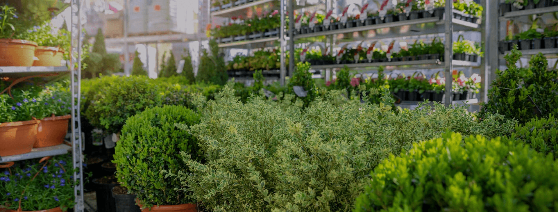 Paradise Garden Center