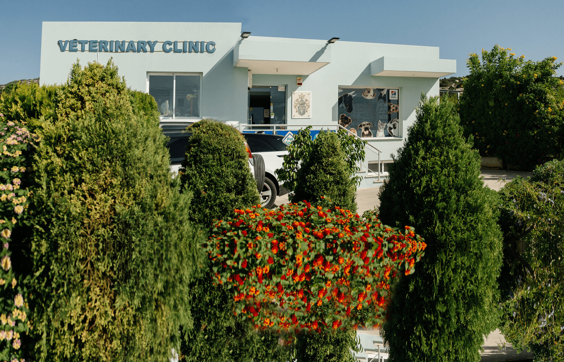 Peyia Pet Care Centre