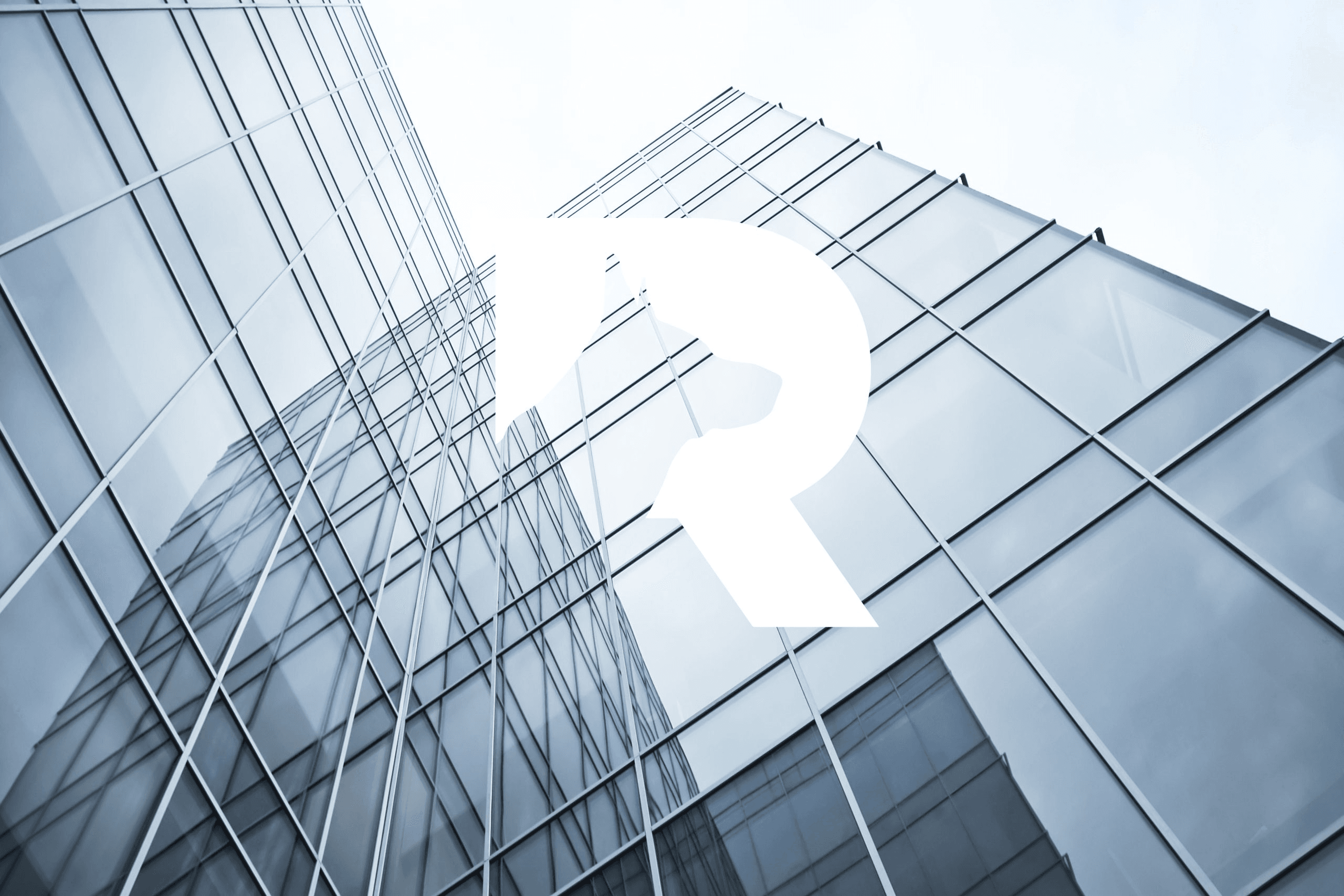 Rayios Properties & More Services