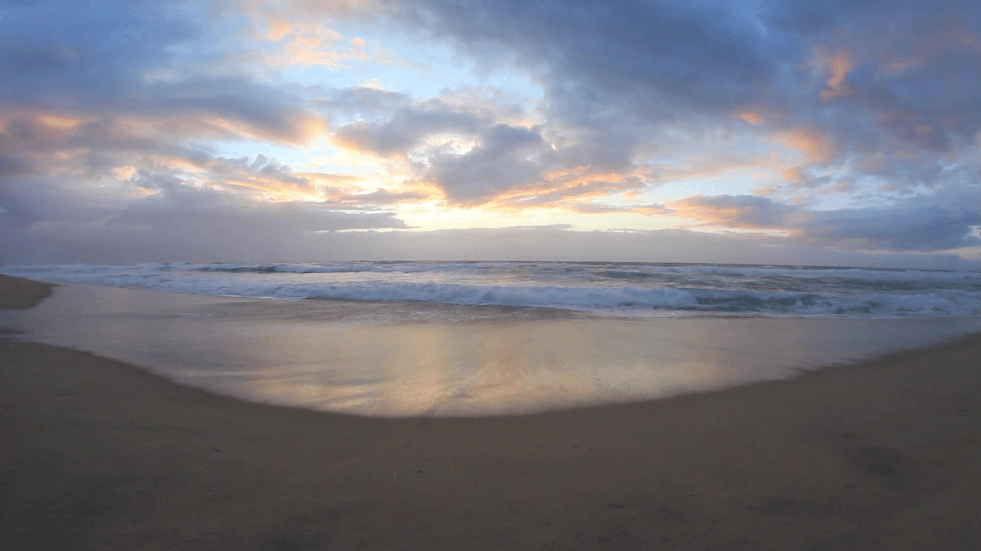 Reef Junkies dive center 