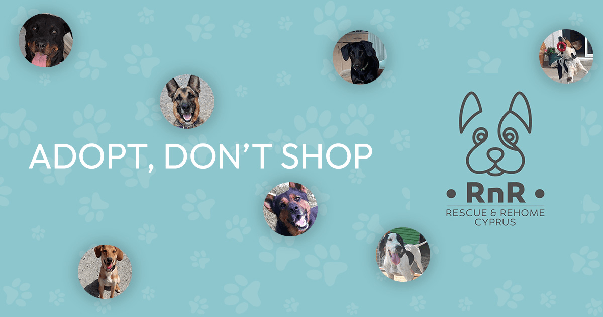 RESCUE & REHOME CHARITY SHOP