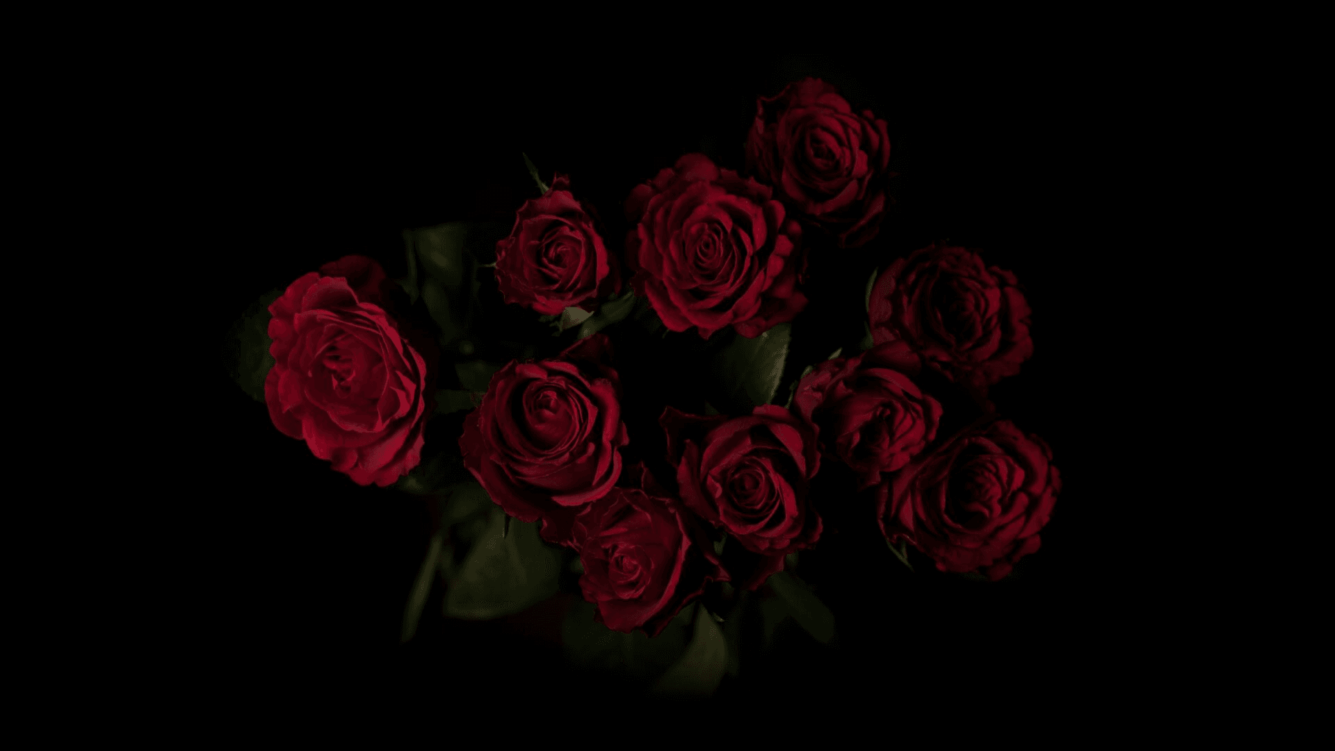 Roses & Moss