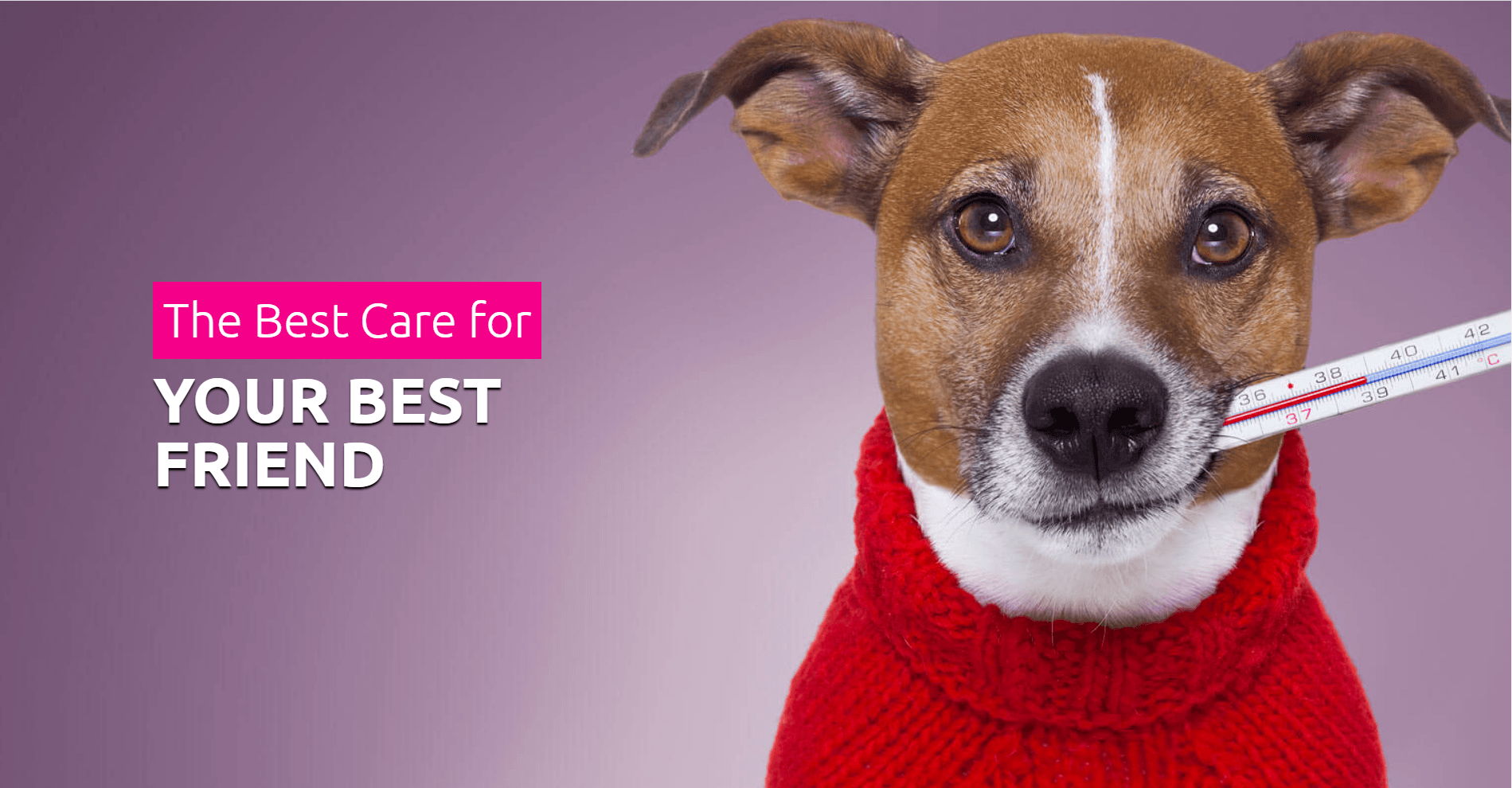 Small Animal Hospital By SH Pet Care