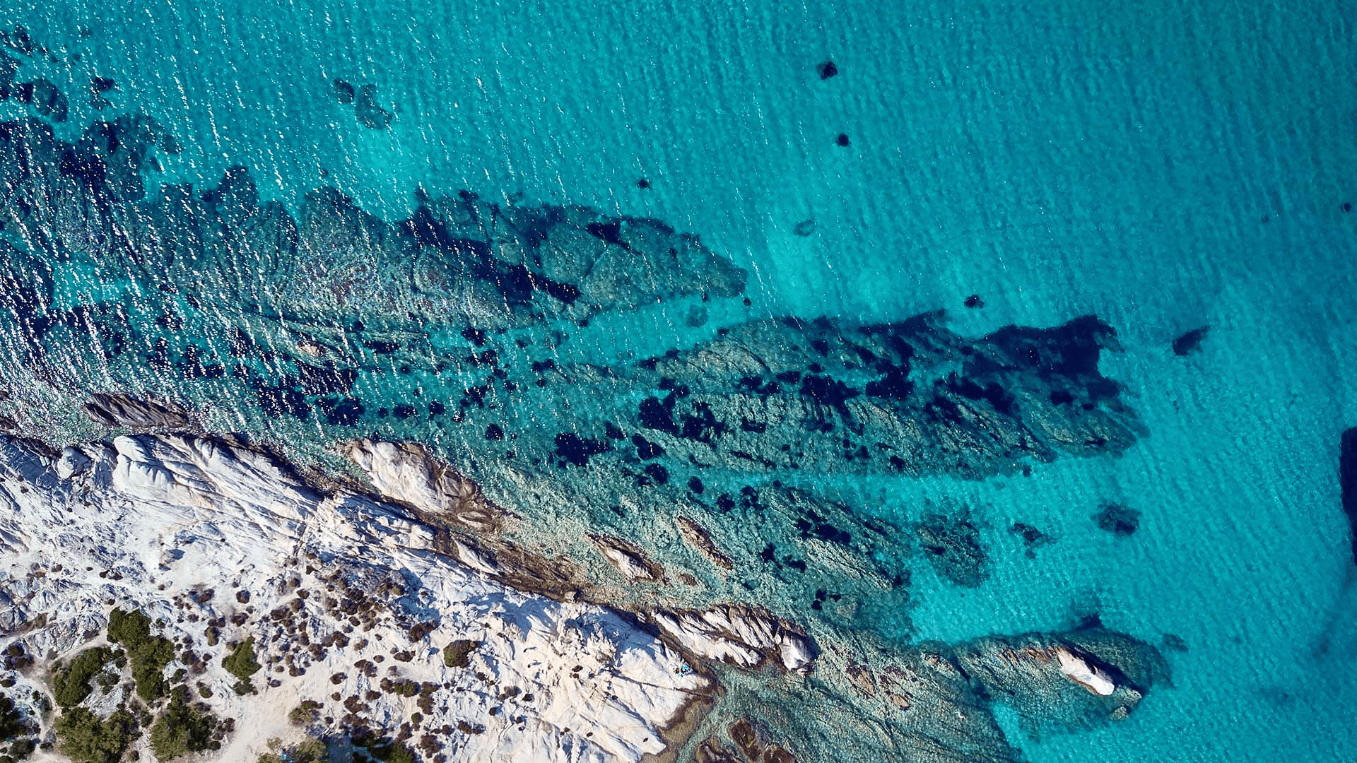 Tauchen auf Zypern - Diveteam Cyprus 