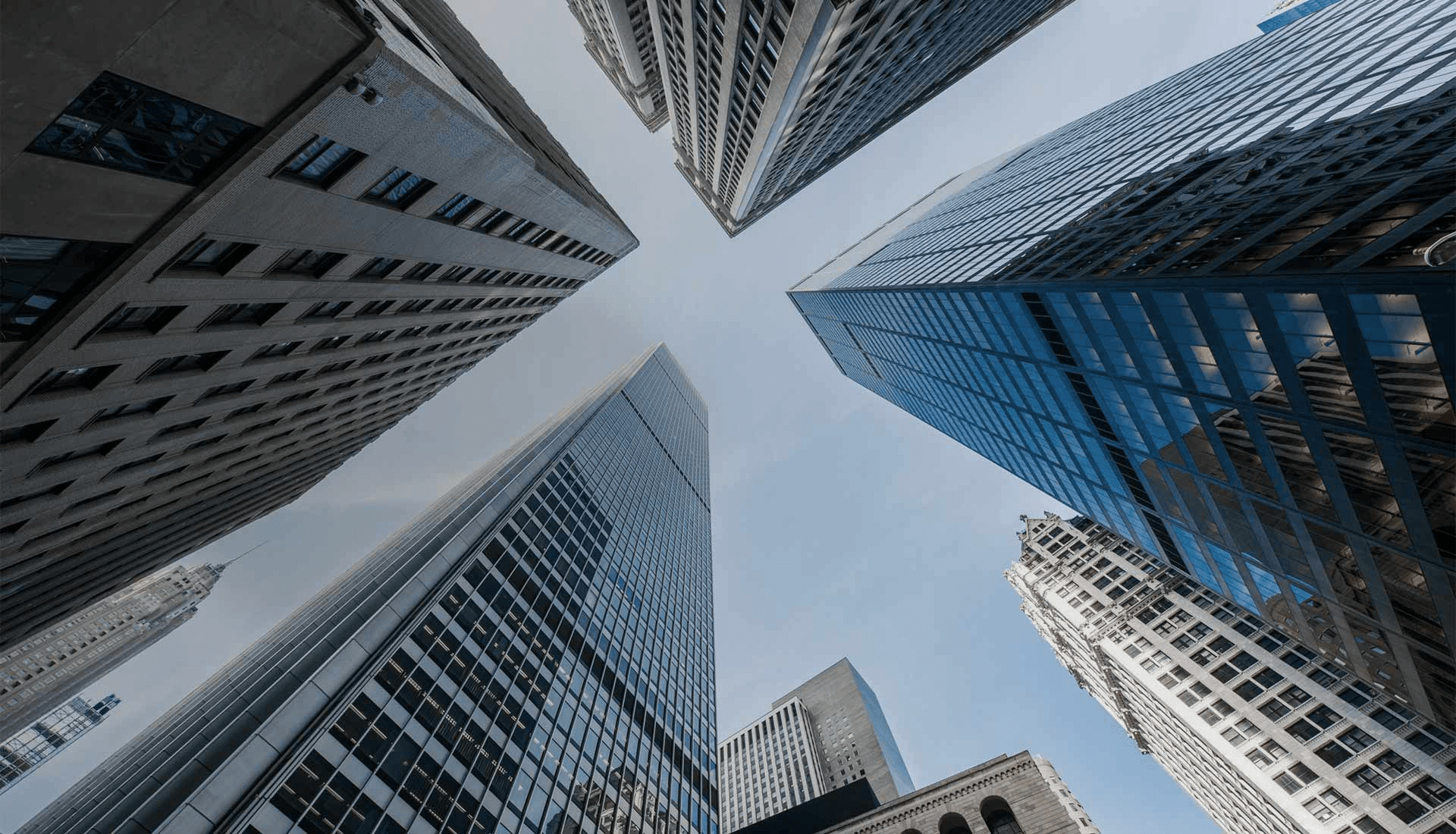 TLV Developers