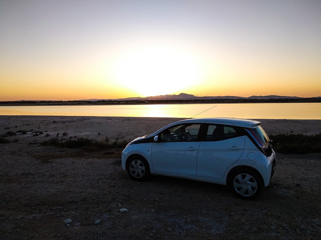 MOLD RENT A CAR