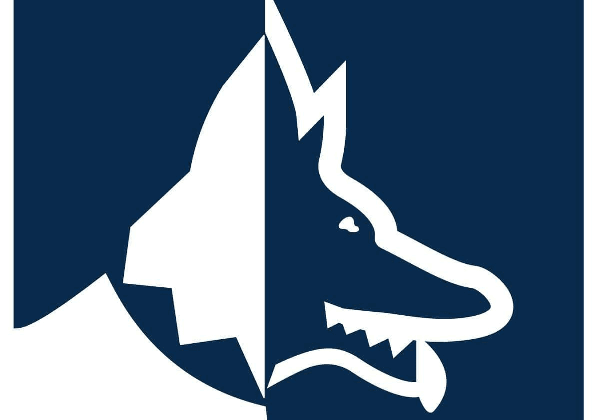 Watchdog Security Systems 